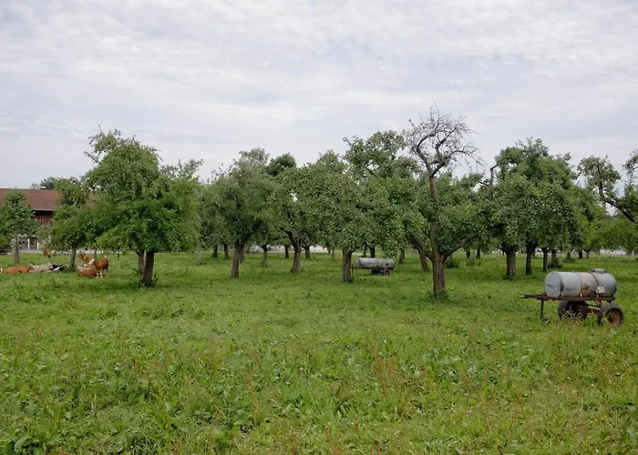 호텔 Bayerisch Meran